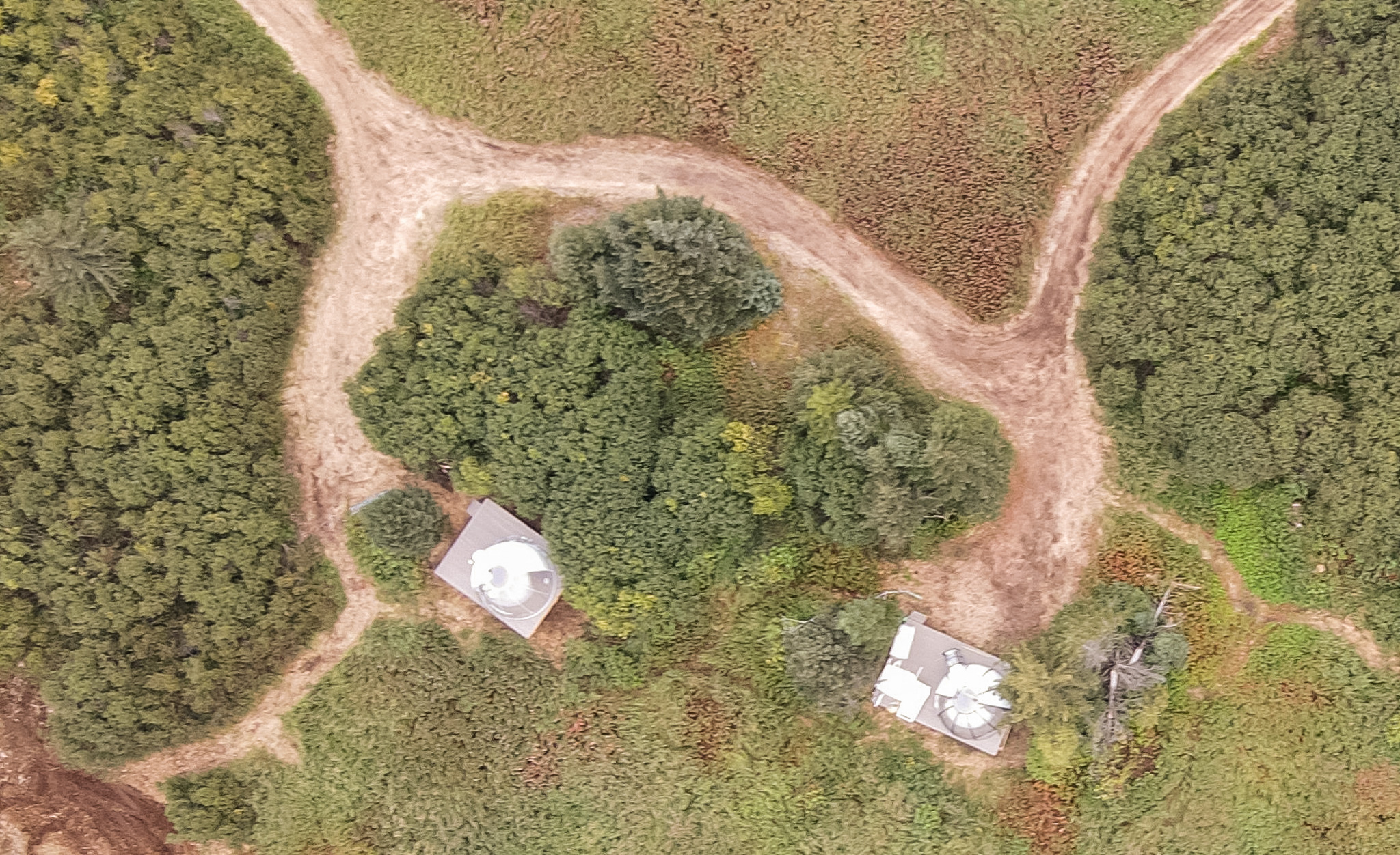 Aerial view of 2 dome structures and the surrounding forest creating privacy