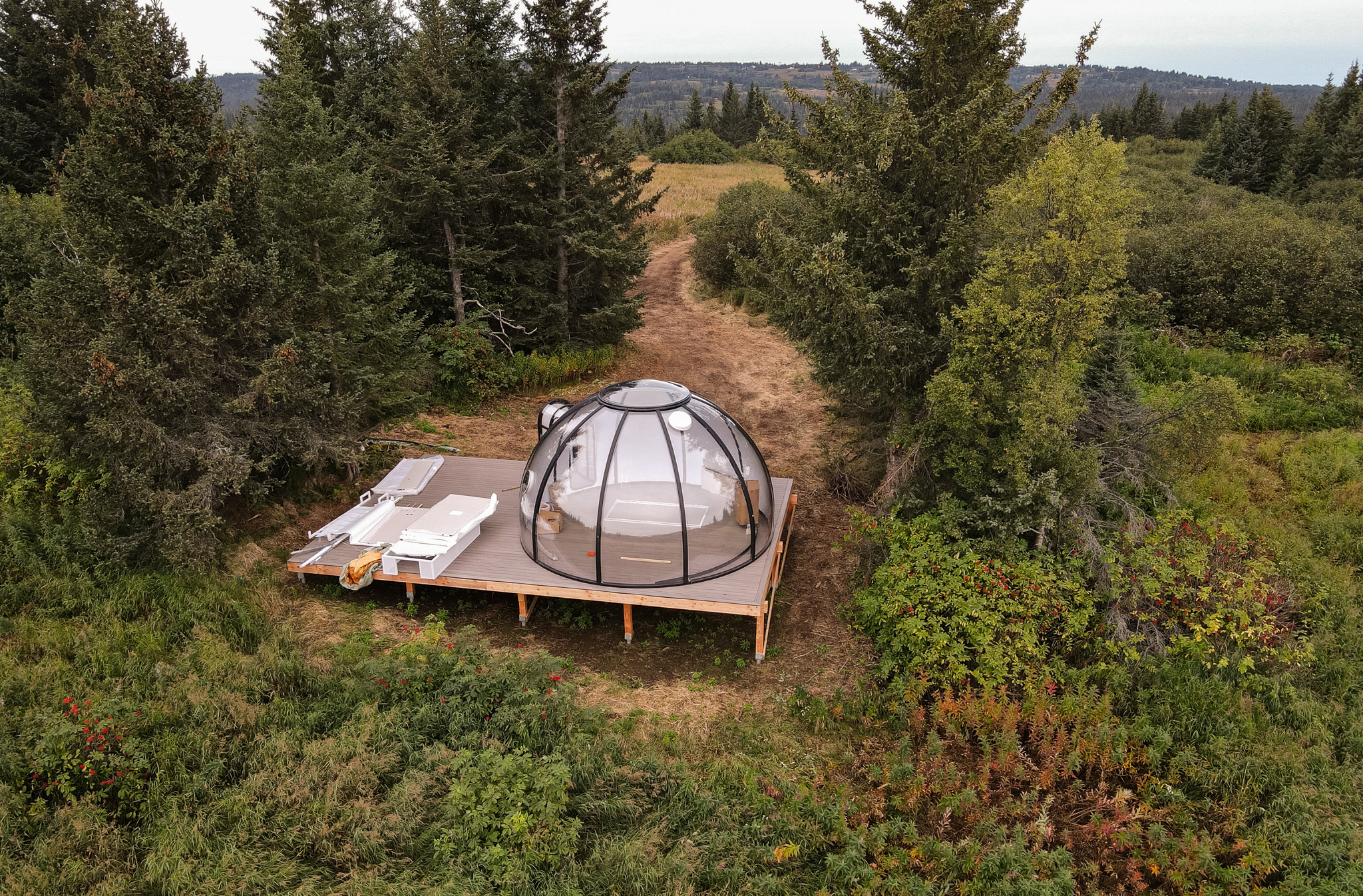 Clear dome structure with surrounding decking in the forest at Twin Rivers