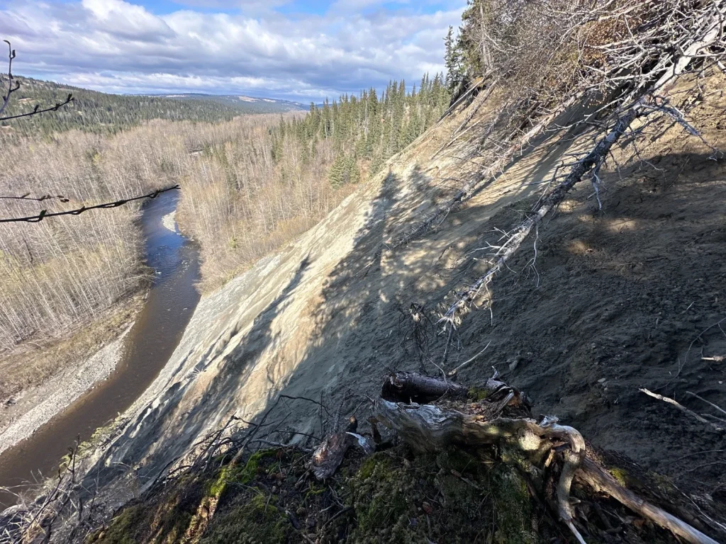 Image of the bluff at Twin Rivers overlooking one of the rivers down a steep embankment