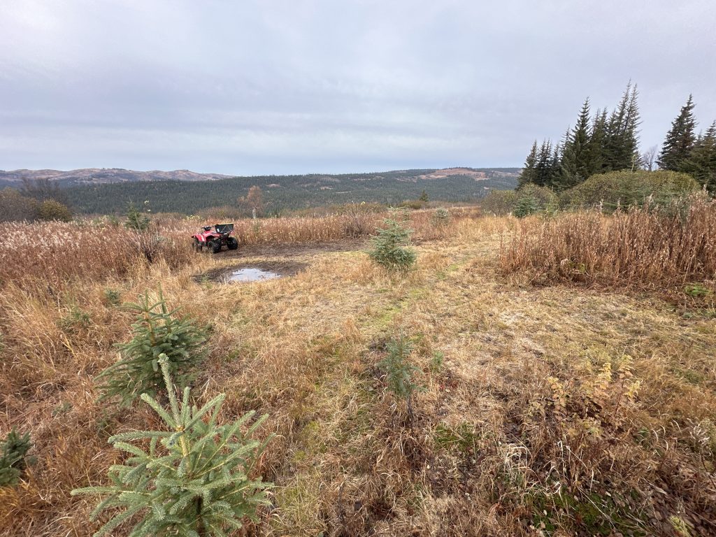 Open field with ATV/4-wheeler parked next to small lake at Twin Rivers