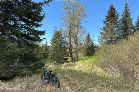IMG_0242bi E-bike resting on a path at Twin Rivers