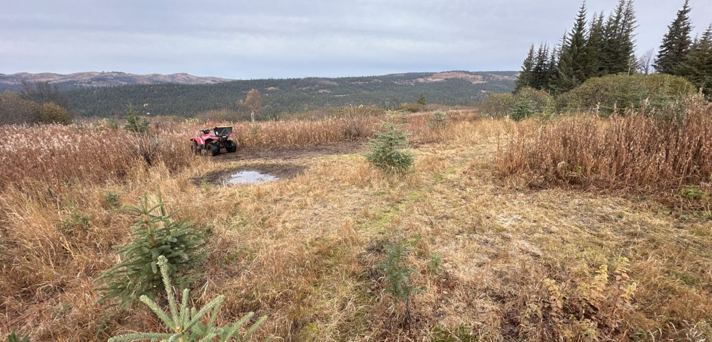 Open field with ATV/4-wheeler parked next to small lake at Twin Rivers